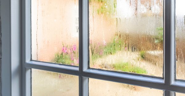 Close up of old window.
